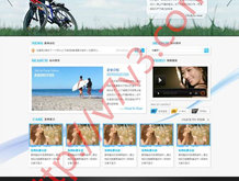 buzzed是什么意思中文